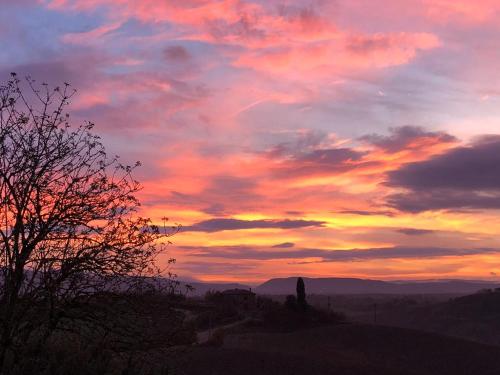 a sunset in the mountains with a tree in the foreground at Appartamento Crete Senesi in Castelnuovo Berardenga