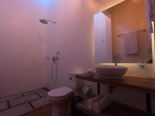 a bathroom with a sink and a toilet and a shower at Hotel Casas de Campo El Ciruelo in San Gil