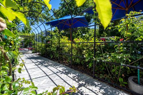 a garden with an umbrella and some plants at La Fontaine Boutique Hotel by The Oyster Collection in Franschhoek
