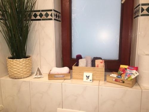 a bathroom counter with boxes of towels and a plant at Hansekammern in Lübeck