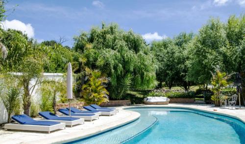 una piscina con tumbonas azules y una piscina con sauna en Homestead Villas, en Bellville