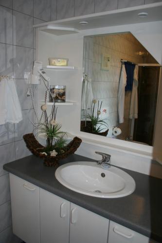 a bathroom with a sink and a mirror at Haus Christine Aigen-Schlägl - Große Mühl in Aigen im Mühlkreis