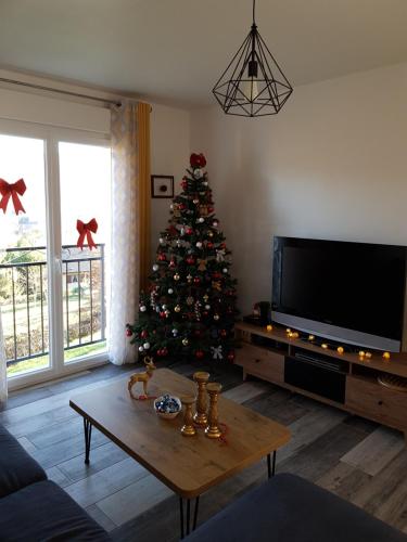 a living room with a christmas tree and a coffee table at Gîte le Haut Rivage in Tournavaux