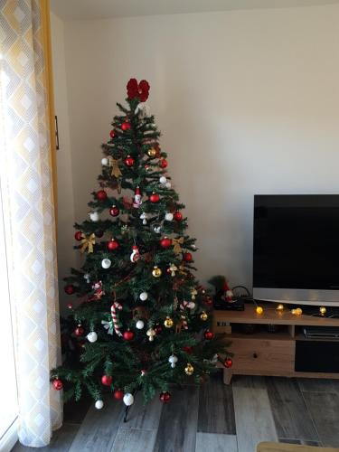 a christmas tree in a living room with a television at Gîte le Haut Rivage in Tournavaux