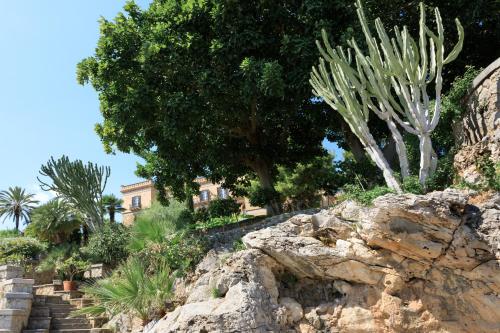 Rocco Forte Villa Igiea photo 66