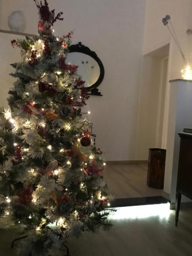 un arbre de Noël avec des lumières dans une pièce dans l'établissement Chiaia House, à Naples