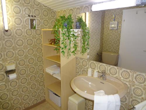 a bathroom with a sink and a toilet at Haus Christine Aigen Schlägl - Moldau in Aigen im Mühlkreis