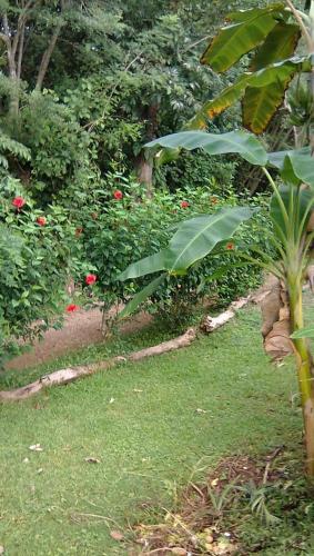 Soul Fire Casitas – Photos 2