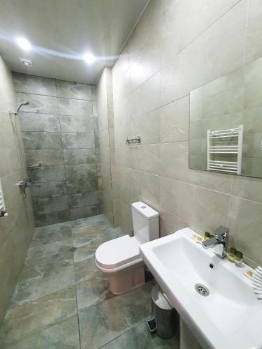 a bathroom with a toilet and a sink and a shower at Taba Hall Boutique Hotel in Akhaltsikhe