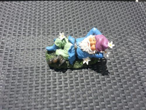 a toy figurine on a carpeted floor at Lemon Tree Apartments in Faro