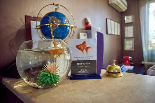 a fish bowl with a plant in it on a counter at Weekend Boutique Hotel in Chişinău