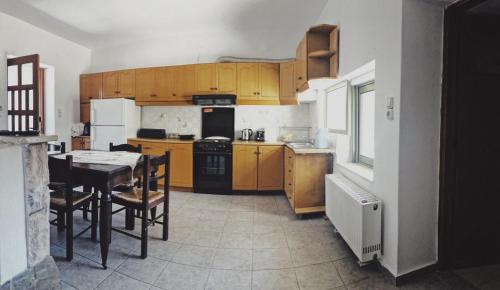 Η κουζίνα ή μικρή κουζίνα στο Villa Gaia
