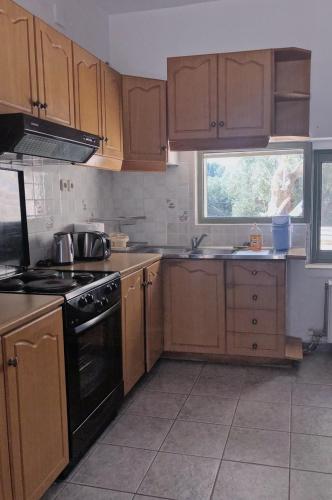 Η κουζίνα ή μικρή κουζίνα στο Villa Gaia