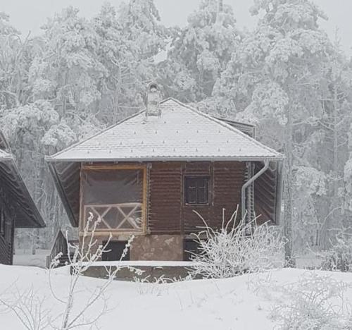 drewniany domek ze śniegiem na dachu w obiekcie Apartmani Milojević w mieście Divčibare