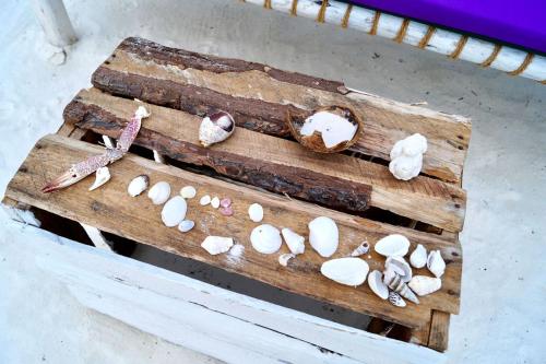 a bunch of shells sitting on a wooden bench at Laguna Palace Zanzibar in Michamvi