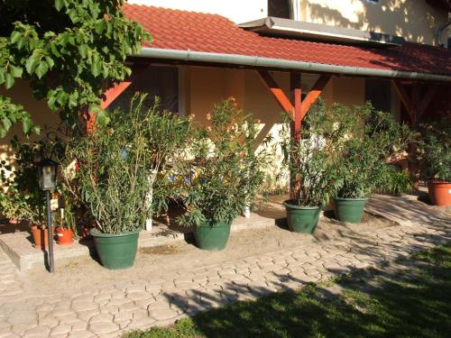a row of potted trees inront of a building at Sissy Vendégház in Mórahalom