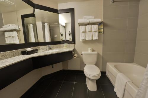 a bathroom with a toilet and a sink and a tub at Holiday Inn Montreal Centre Ville Downtown, an IHG Hotel in Montreal