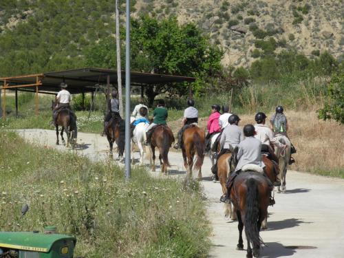 a group of people riding horses down a road at Hostal Rural Txapi Txuri Logis Hotels in Murillo el Fruto