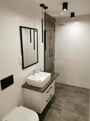 a bathroom with a sink and a toilet and a mirror at Apartament w Choczewie in Choczewo