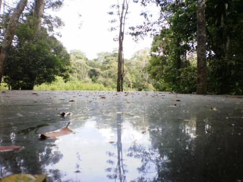 a puddle of water on a road with trees at Reserva Natural Heliconia Amazonas in Leticia