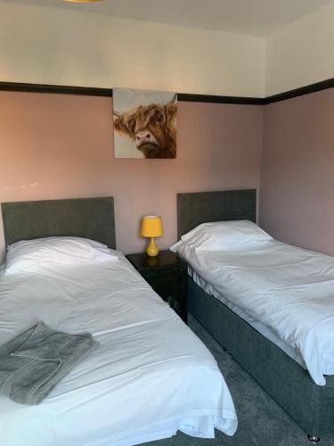two beds in a bedroom with a lion picture on the wall at Mad O'Rourkes Pie Factory in Dudley