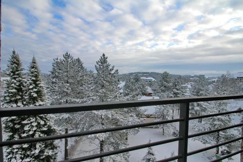 ズラティボールにあるBinisのバルコニーから見える雪に覆われた木々の眺め