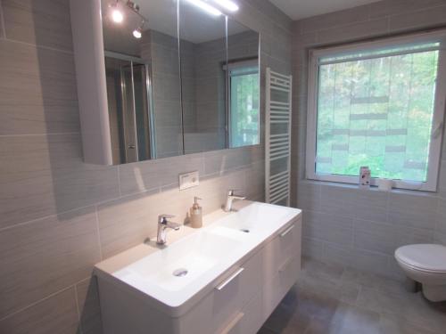 bagno con lavandino, servizi igienici e specchio di FeWo direkt am Wald und Wanderweg mit Balkon Ruhe pur 1 OG a Bad Sachsa