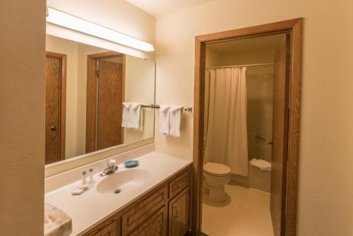 a bathroom with a sink and a toilet and a mirror at Somerset Inn & Suites in Ephraim