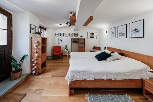 1 dormitorio con 1 cama grande en una habitación con paredes blancas en Apartment Center, en Kamnik