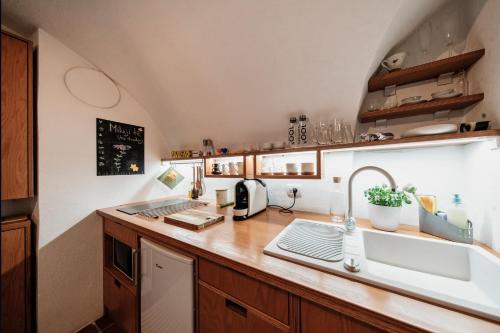eine Küche mit einer Spüle und einer Arbeitsplatte in der Unterkunft Apartment Center in Kamnik