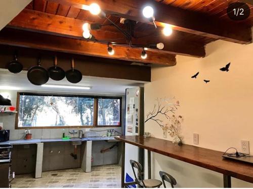 a kitchen with a counter with birds on the wall at Ciao Bariloche - habitaciones privadas en hostel in San Carlos de Bariloche