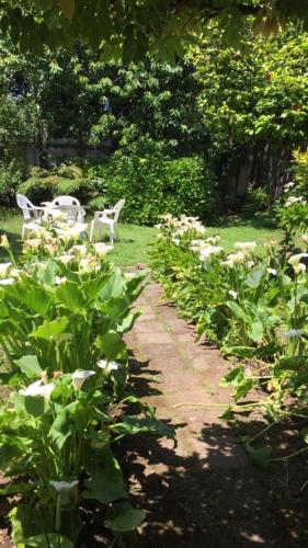 Jardín al aire libre en Hostal del Muelle