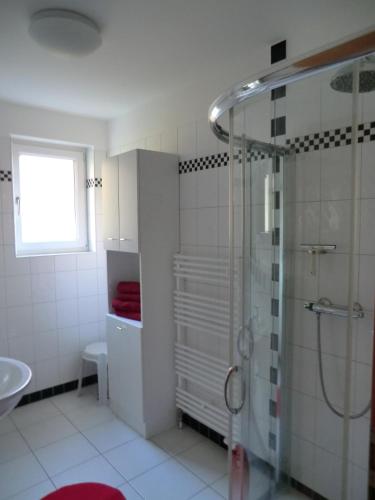 a bathroom with a shower and a sink at Ferienwohnung Am Wildmeisterweg in Wernigerode