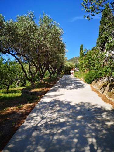 Villa Milanu – Photos 5
