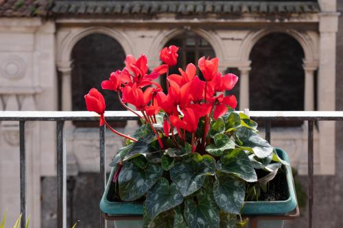Terrazza Santa Chiara – Photos 2
