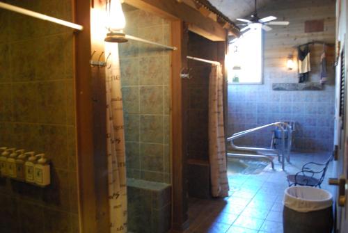 Double Eagle Resort and Spa في جيون ليك: حمام مع دش ومرحاض في الغرفة