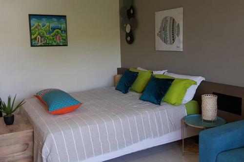 um quarto com uma cama com almofadas coloridas em PARADISIAC LAGOON em Saint-François