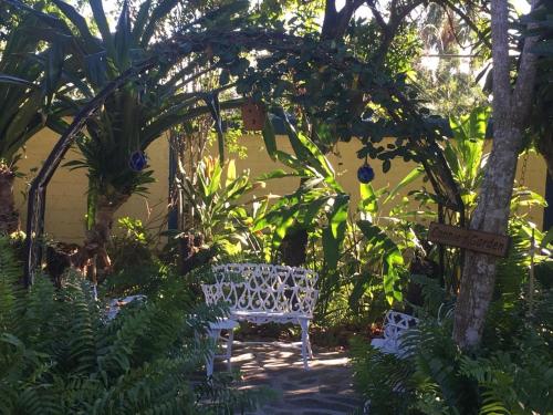 a white bench sitting in the middle of a garden at Sana El Jardin Secreto in Santiago de los Caballeros