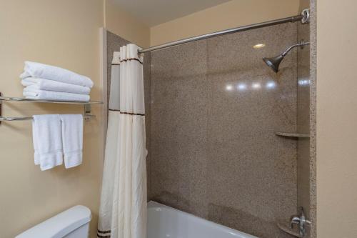 ein Badezimmer mit Dusche mit Glastür in der Unterkunft Truckee Donner Lodge in Truckee