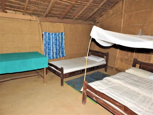 Poschodová posteľ alebo postele v izbe v ubytovaní Royal Tiger Cottage