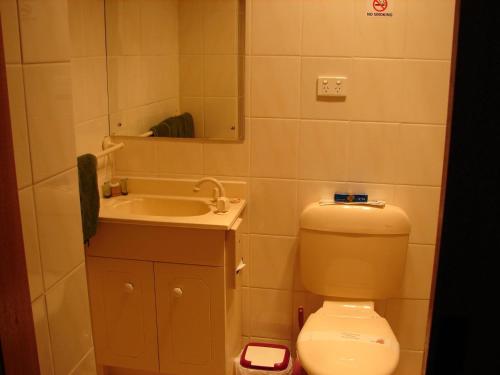 a bathroom with a toilet and a sink and a mirror at Truro weighbridge motel in Stockwell