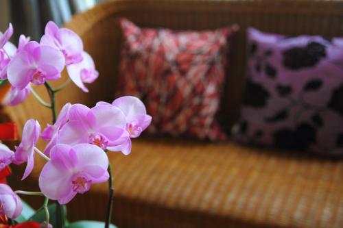a vase with pink flowers in front of a couch at Jimei Homestay in Jian
