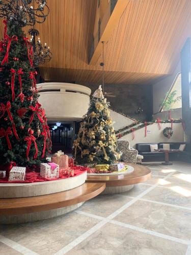 two christmas trees on display in a room at Maharajah Hotel in Angeles