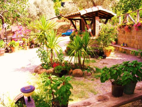 a garden with a gazebo and a bunch of plants at L'Uliveto in Reitano