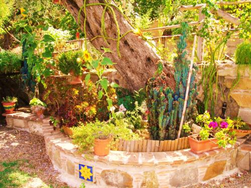 a garden with lots of plants in pots at L'Uliveto in Reitano