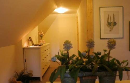 a room with potted plants on the floor and a staircase at Ferienhaus Deichgraf in Vollerwiek