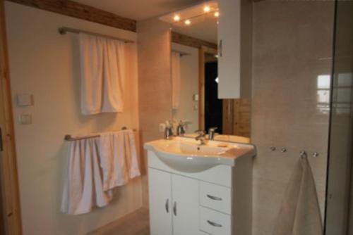 a bathroom with a sink and a shower at Ferienhaus Deichgraf in Vollerwiek