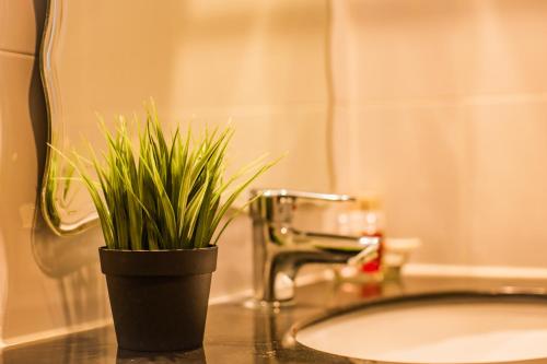 a plant sitting on a bathroom counter next to a sink at Pro Andaman Place in Karon Beach