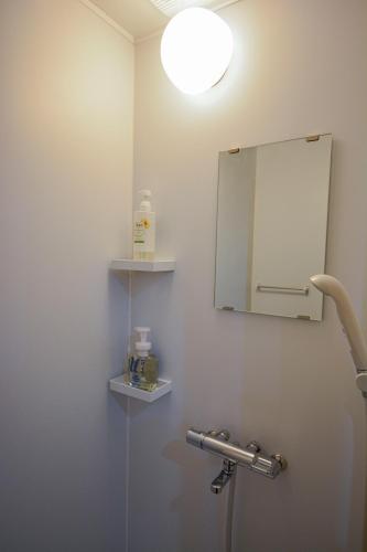 a bathroom with a mirror and a sink at 043AKIHABARA in Tokyo