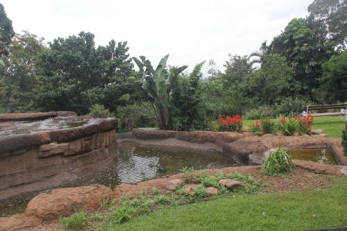 a pond in a garden with flowers and trees at Le Residence de Josephine in Kloof